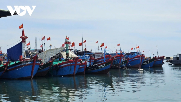 Quảng Ngãi siết chặt quản lý tàu cá thi hành án, ngăn nguy cơ vi phạm IUU