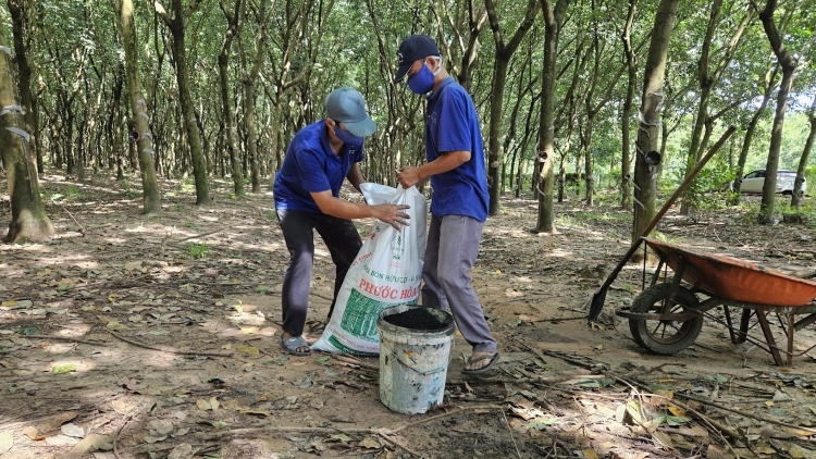 Đảng ủy VRG dẫn dắt xanh hóa sản xuất, phát triển bền vững