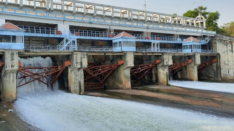 Dấu ấn những công trình thủy lợi mang lại vụ mùa bội thu 