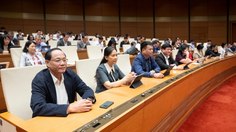 Ngành Y tế hoàn thiện thể chế, chính sách pháp luật về y tế