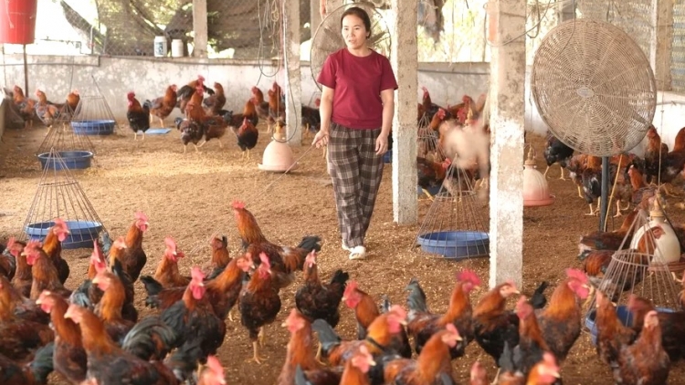 Bắc Ninh: không để công tác giảm nghèo gián đoạn sau sáp nhập