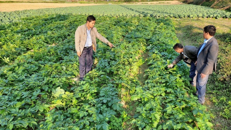 Kinh tế tập thể, HTX trong Chương trình giảm nghèo: những nút thắt cần được tháo gỡ (19/12/2025)