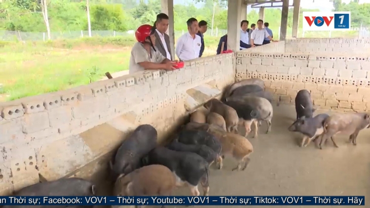 Giảm nghèo ở vùng biên giới Nam Giang, Quảng Nam