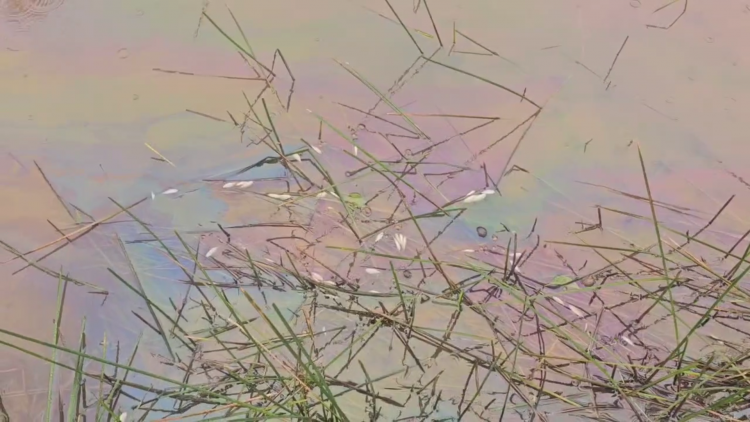 Khẩn trương xử lý sự cố tràn dầu ra môi trường ở Quảng Ngãi