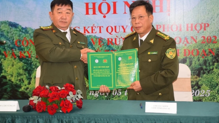 Kiểm lâm vùng IV ký kết quy chế phối hợp với 6 chi cục kiểm lâm trong vùng Duyên hải Nam Trung bộ  