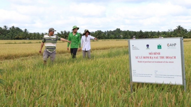 Khi nông dân làm chủ “công nghệ” xanh