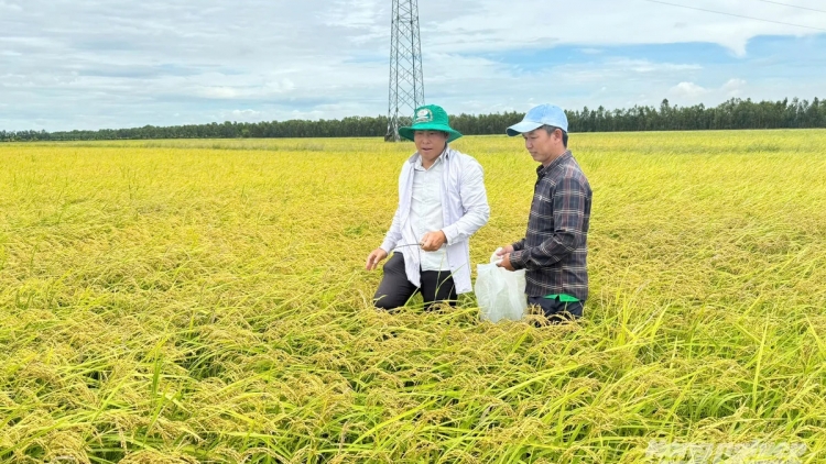 An Giang tăng cường giảm nghèo bền vững vùng biên