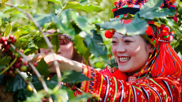 Hướng tới trang trại nông nghiệp xanh, bền vững và hiệu quả (10/12/2025)