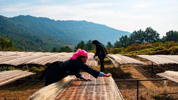 Cao Bằng: Chuyển đổi số, chuyển đổi xanh để phát triển sinh kế, giảm nghèo bền vững
