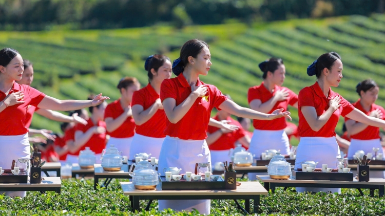 Khai mạc Lễ hội Trà Quốc tế: Quảng bá thương hiệu trà Việt, thúc đẩy hợp tác toàn cầu