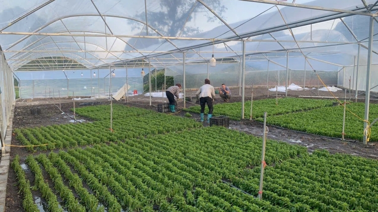 Tín dụng chính sách tiếp sức cho người dân nghèo Cao Bằng