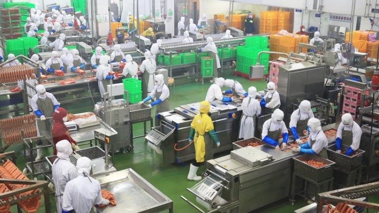 Phát triển nông nghiệp gắn với chế biến (05/12/2025)