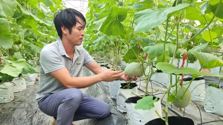 Nghệ An ứng dụng chuyển đổi số trong sản xuất nông nghiệp giảm nghèo bền vững