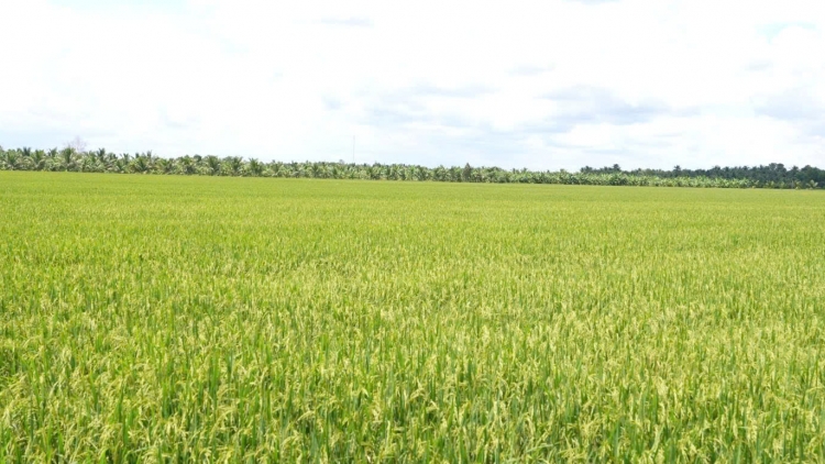 Khi phụ nữ nông thôn trở thành “người gác trời”