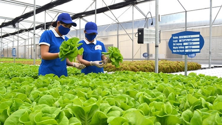 Quảng Ninh: Đẩy mạnh chuyển đổi số trong sản xuất nông nghiệp