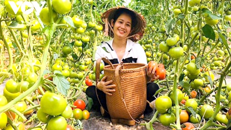 Lâm Đồng đẩy mạnh chuyển đổi số trong sản xuất, chế biến sản phẩm nông nghiệp hữu cơ