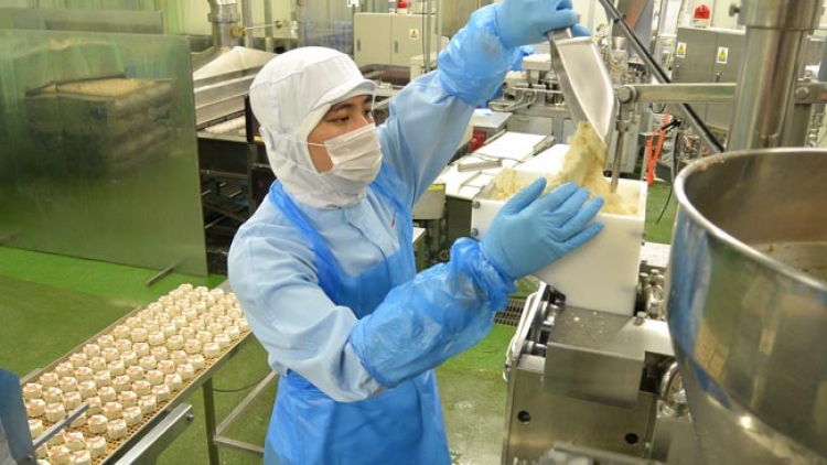 Đa số người Nhật đánh giá cao lao động Việt Nam trong bối cảnh số người nước ngoài tăng nhanh 