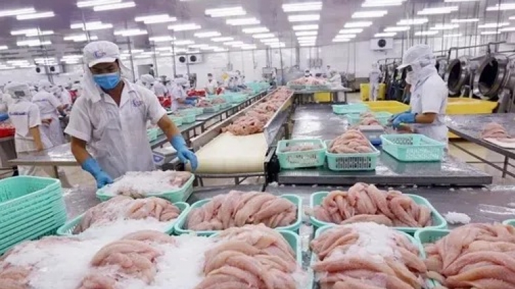 Bản tin 15h 3/12/2025