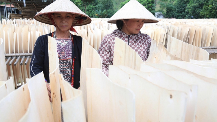 Không ai bị bỏ lại phía sau – hướng tới công bằng trong tiếp cận an sinh