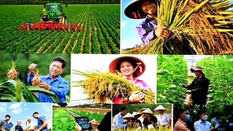 Theo dòng thời sự sáng 17/11/2025