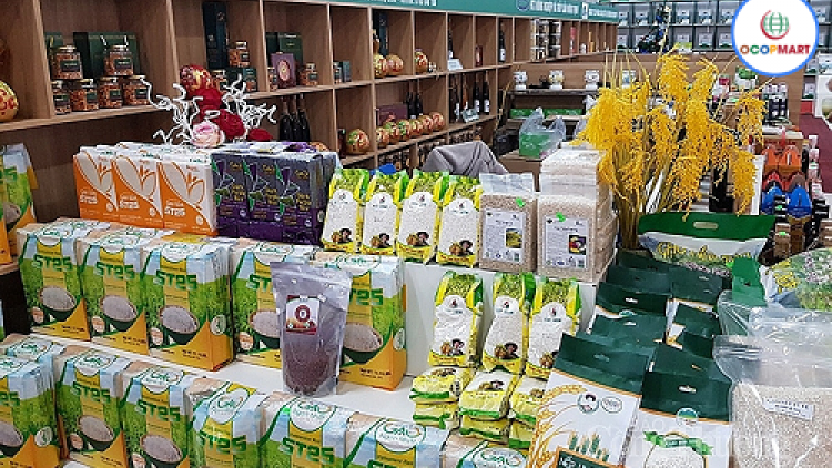 Nhân rộng mô hình OCOP hướng tới xuất khẩu chính ngạch (22/12/2025)