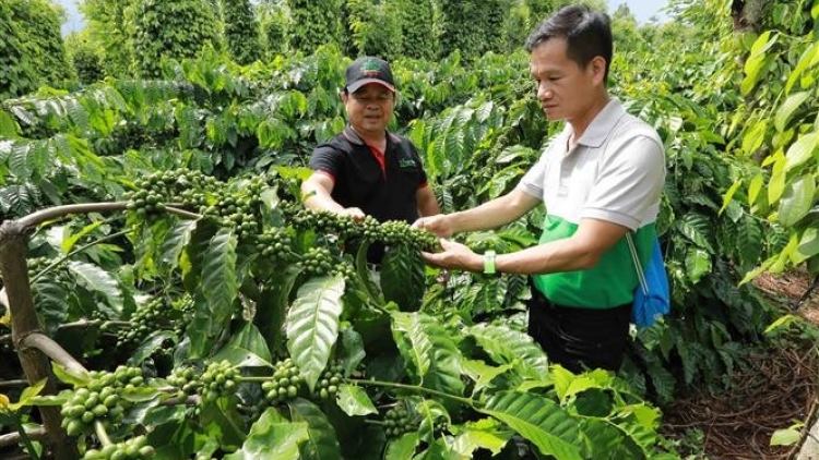 Công nghệ số tiếp sức giảm nghèo ở xã Đắk Phơi, Đắk Lắk