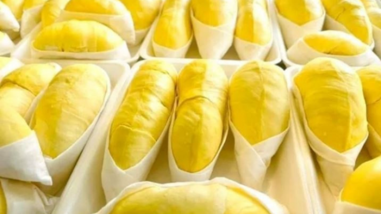 Lô sầu riêng đông lạnh đầu tiên tới Trung Quốc- Cơ hội cho nông dân và nhà xuất khẩu Indonesia