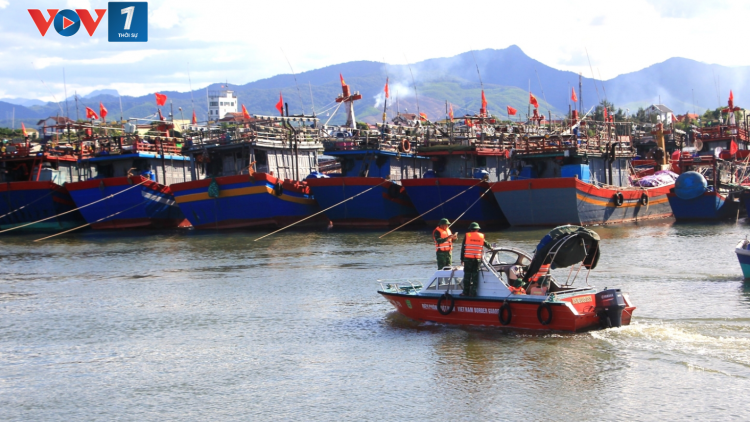 Xây dựng phần mềm nhắc nhở ngư dân bổ sung giấy tờ cho tàu cá trước khi ra khơi