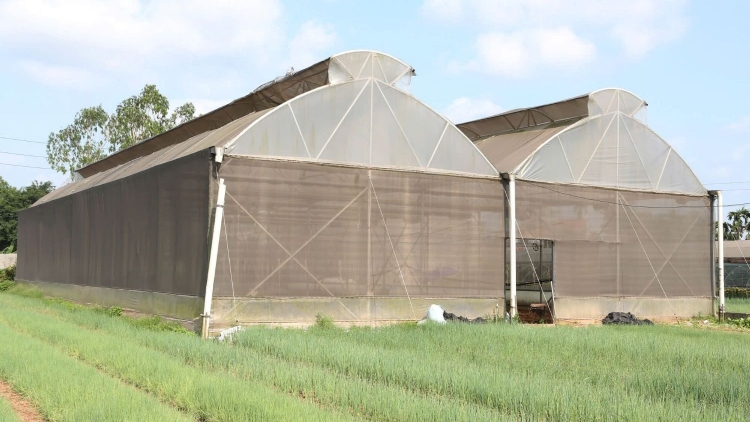 Nhiều hợp tác xã ở Sơn La tích cực chuyển đổi số