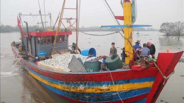 Hưng Yên: Kiên quyết không cho tàu cá không đủ điều kiện ra khơi (24/12/2025)