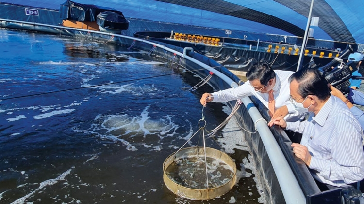 Phòng chống dịch bệnh thủy sản sau bão, lũ (02/12/2025)