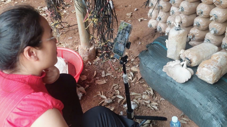 Giải pháp gỡ khó về nguồn vốn cho hợp tác xã