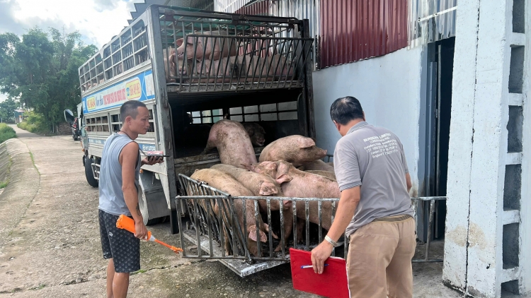 Đảm bảo an toàn nông sản, thực phẩm trong thời điểm cuối năm (18/12/2025)
