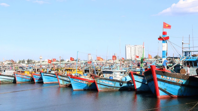 “Chống khai thác IUU - Từ “thẻ vàng” đến “cửa xanh”