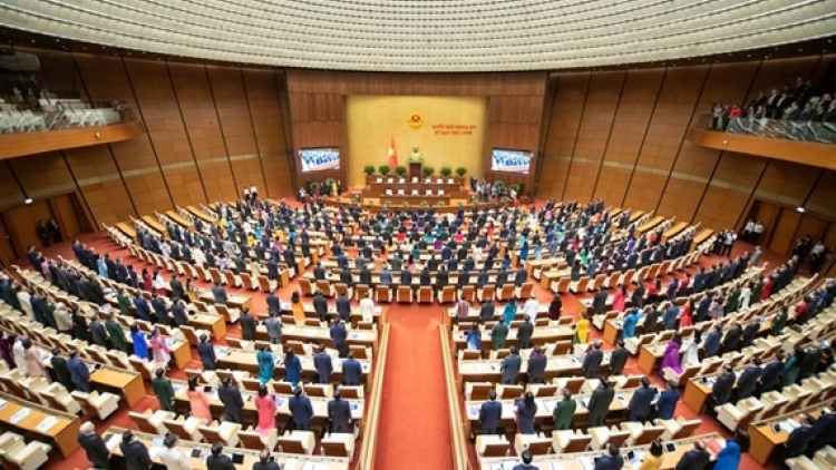 Theo dòng thời sự sáng 1/1/2026