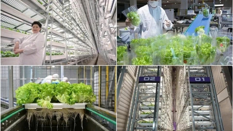 Theo dòng thời sự sáng 16/1/2026