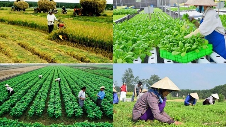 Kinh tế tập thể, Hợp tác xã cần giải pháp gỡ khó để phát triển