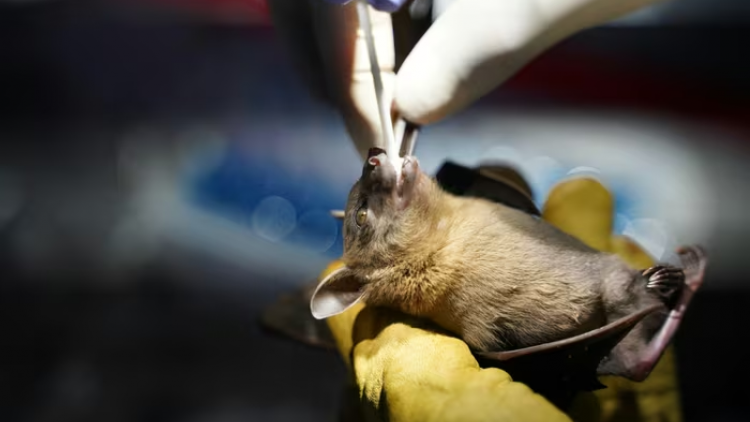 Theo dòng thời sự chiều 28/1/2026