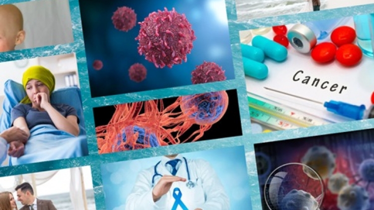 Theo dòng thời sự chiều 12/1/2026