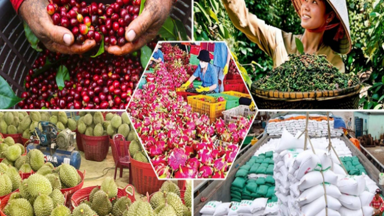 Xuất khẩu nông sản lập kỷ lục - hành trình đưa nông sản Việt Nam lên bản đồ toàn cầu