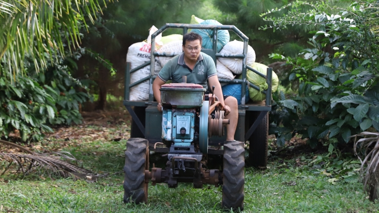 Cà phê - hạt gieo hạnh phúc