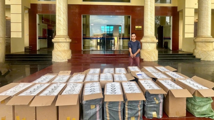 Quảng Trị: Ngăn chặn vụ vận chuyển 12.500 bao thuốc lá lậu