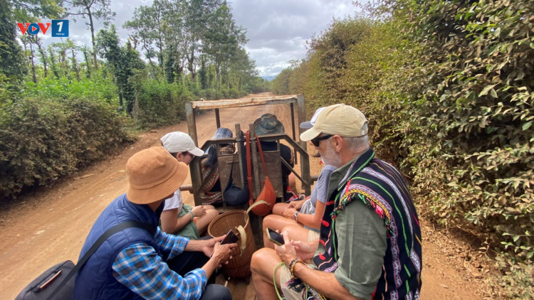 Theo dòng thời sự sáng 25/1/2026