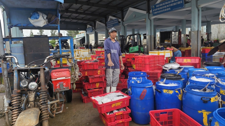 Theo dòng thời sự chiều 30/1/2026