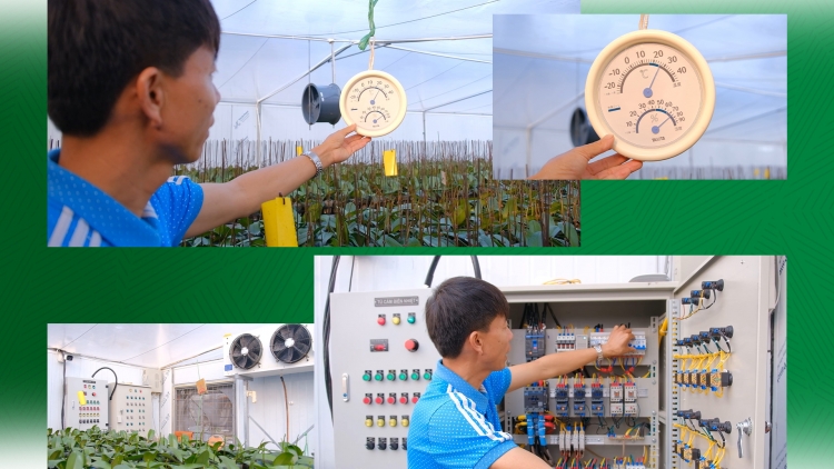 Thái Nguyên: Số hóa quy trình sản xuất nông nghiệp