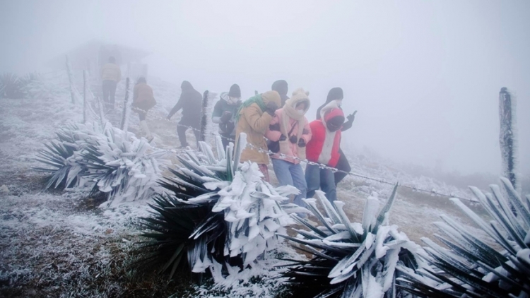 Thời tiết ngày 10/1/2026: Miền Bắc sương mù, nhiệt độ thấp nhất 9 độ C