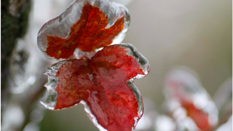 Dự báo thời tiết 5/1/2026: Đón đợt không khí lạnh mới, miền Bắc chìm trong mưa rét