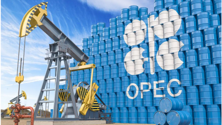 OPEC+ tiếp tục tạm dừng tăng sản lượng dầu trong tháng 2 và 3