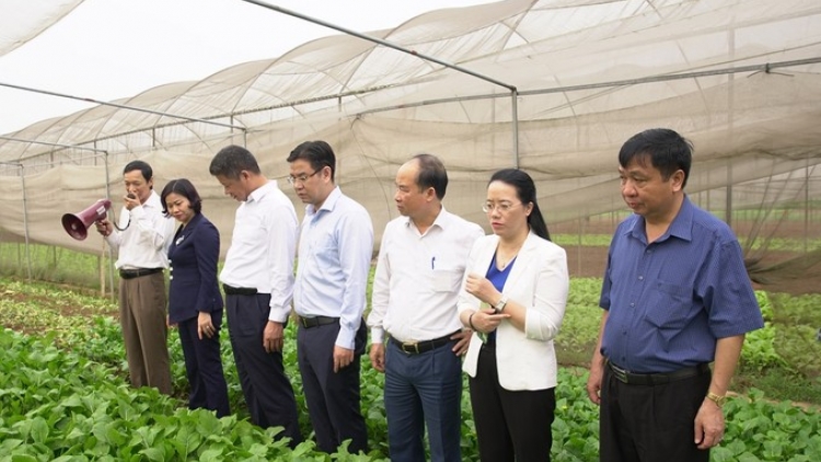 Hỗ trợ nông dân, hợp tác xã sản xuất nông sản sạch