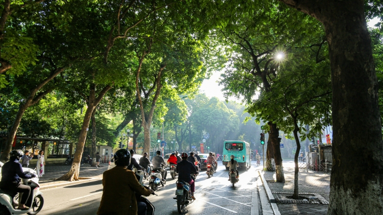 Thời tiết ngày 14/1: Bắc Bộ rét về đêm và sáng sớm; Nam Bộ nắng ấm